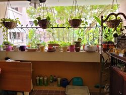 Blk 752 Pasir Ris Street 71 (Pasir Ris), HDB 5 Rooms #371635181